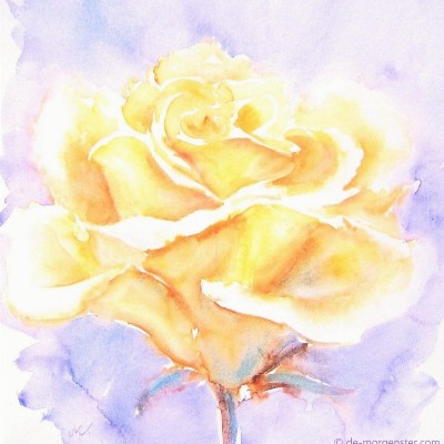 Dineke Vermet | Praktijk De Gouden Roos