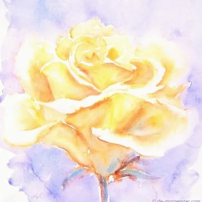 Dineke Vermet | Praktijk De Gouden Roos