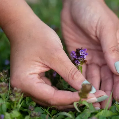 Therapiepraktijk Het Wandelpad